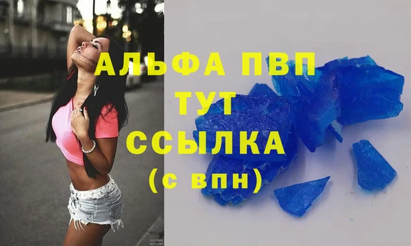 ГАЛЛЮЦИНОГЕННЫЕ ГРИБЫ Новозыбков