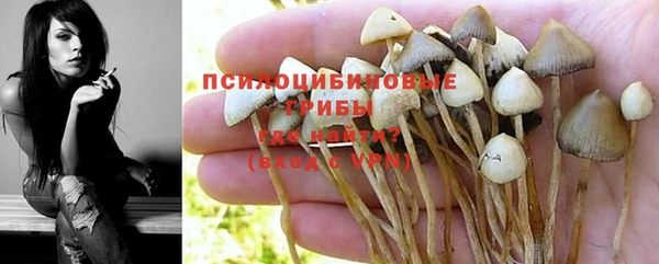герыч Нефтекумск