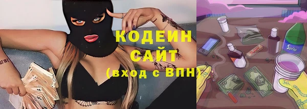 индика Нея