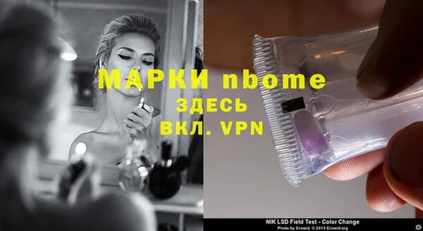 индика Нея