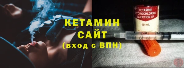индика Нея