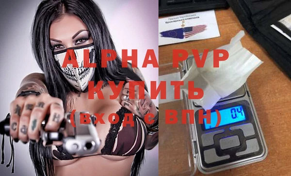 индика Нея