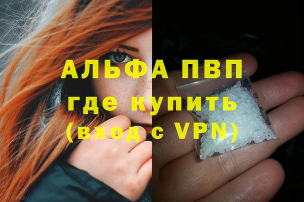 индика Нея