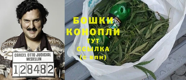 индика Нея