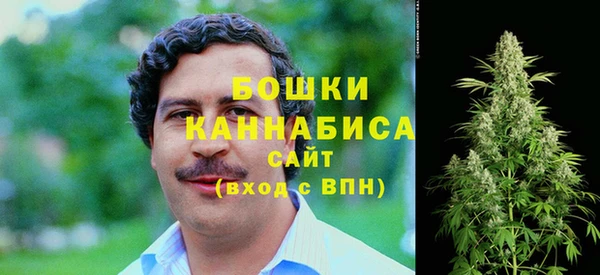 индика Нея
