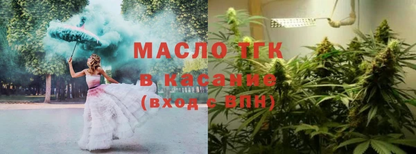 сатива Елизово