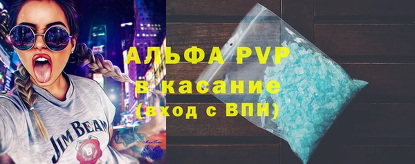 индика Нея