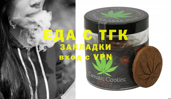 индика Нея