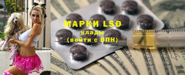 индика Нея