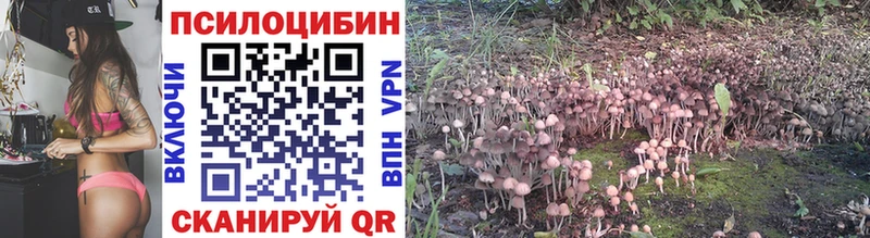 Галлюциногенные грибы Psilocybe  где можно купить наркотик  Сорск 